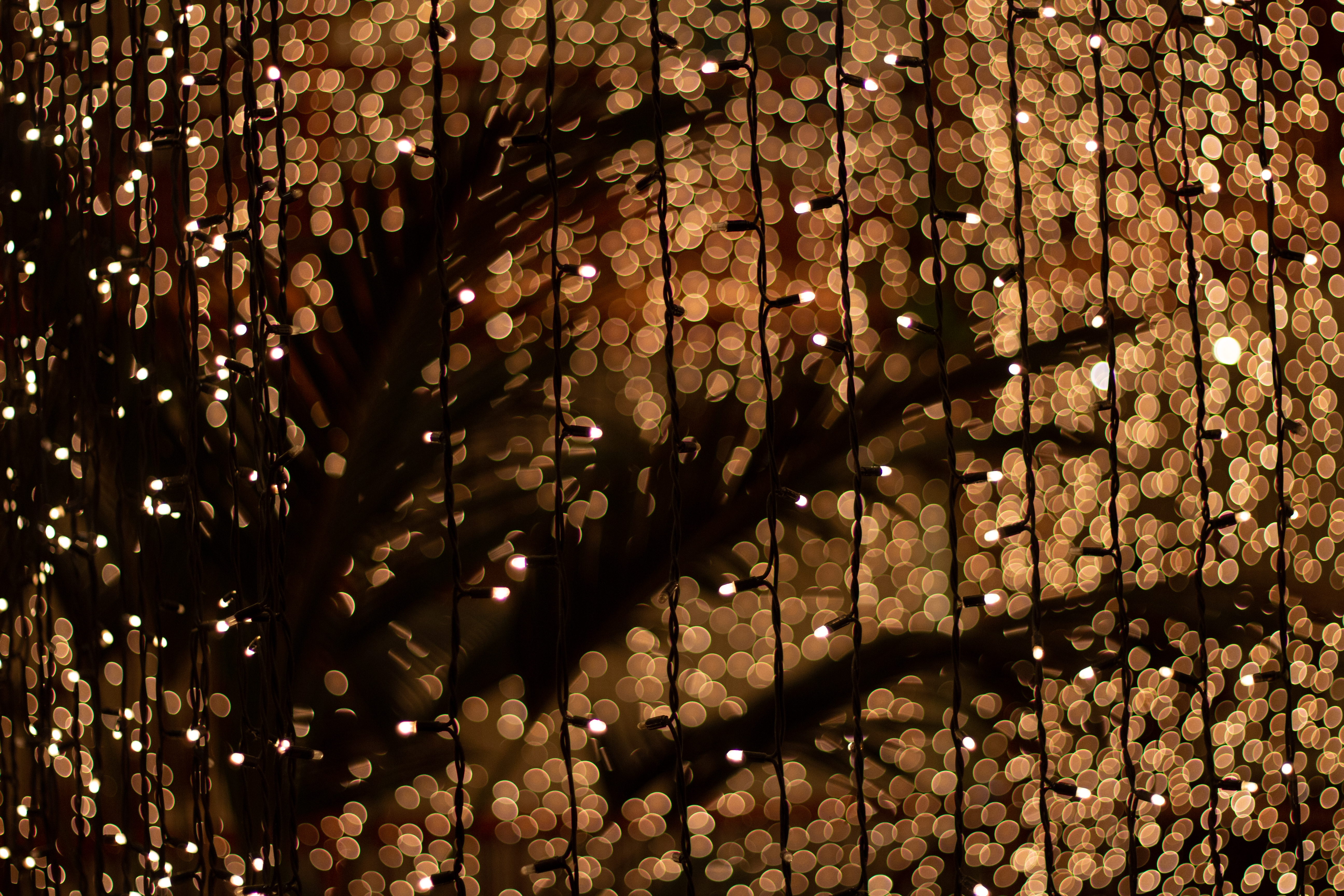 Fotografie, unscharfe Lichter