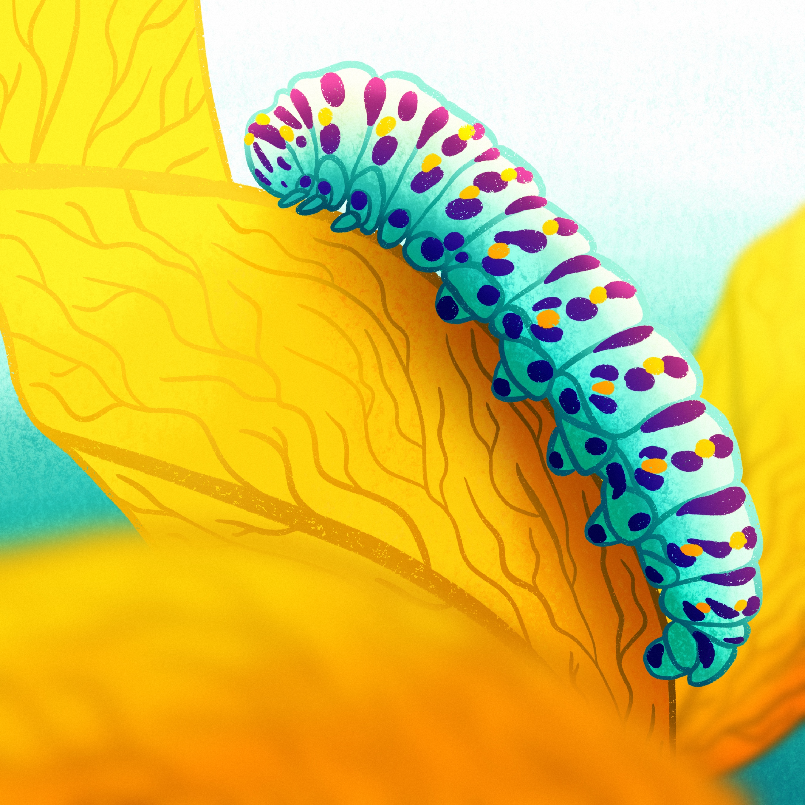 Digital gezeichnete, blaue Raupe mit magenta Punkten. Sie kriecht über ein gelbes Blatt.